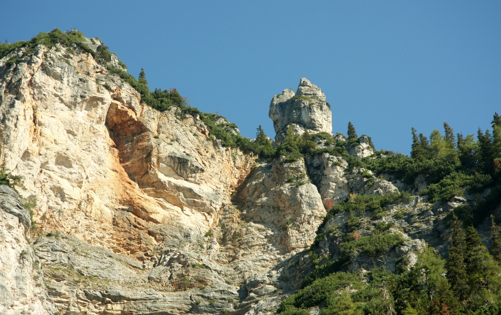 D 06.jpg